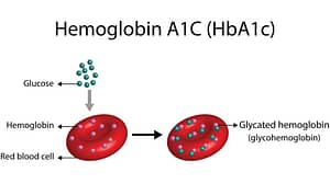 HbA1C test works