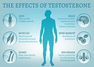 Testosterone replacement therapy (TRT)