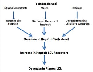 How can I lower ApoB with medication?